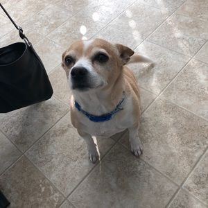 Meet your Posher, Matt